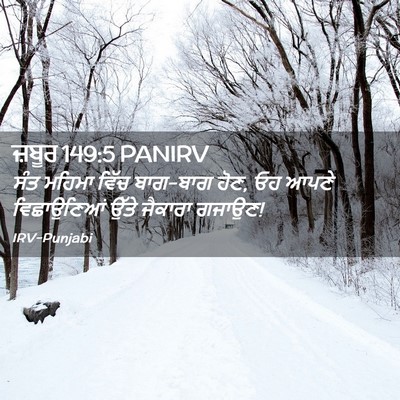 Picture 02 - ਜ਼ਬੂਰ 149:5 PANIRV - ਸੰਤ ਮਹਿਮਾ ਵਿੱਚ - Bible Verse Picture