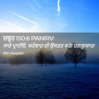 Picture 02 - ਜ਼ਬੂਰ 150:6 PANIRV - ਸਾਰੇ ਪ੍ਰਾਣੀਓ, - Bible Verse Picture