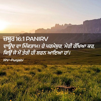 Picture 02 - ਜ਼ਬੂਰ 16:1 PANIRV - ਦਾਊਦ ਦਾ ਮਿੱਕਤਾਮ। - Bible Verse Picture