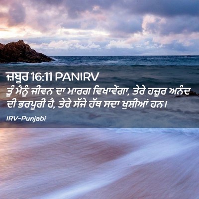 Picture 02 - ਜ਼ਬੂਰ 16:11 PANIRV - ਤੂੰ ਮੈਨੂੰ ਜੀਵਨ ਦਾ - Bible Verse Picture