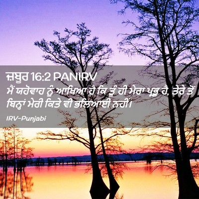 Picture 02 - ਜ਼ਬੂਰ 16:2 PANIRV - ਮੈਂ ਯਹੋਵਾਹ ਨੂੰ - Bible Verse Picture
