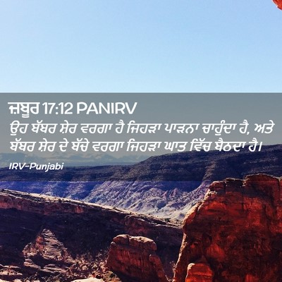 Picture 02 - ਜ਼ਬੂਰ 17:12 PANIRV - ਉਹ ਬੱਬਰ ਸ਼ੇਰ ਵਰਗਾ - Bible Verse Picture