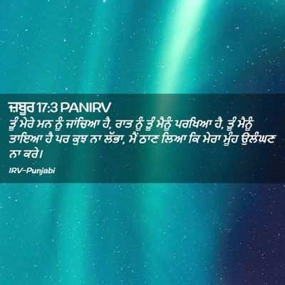 Picture 02 - ਜ਼ਬੂਰ 17:3 PANIRV - ਤੂੰ ਮੇਰੇ ਮਨ ਨੂੰ - Bible Verse Picture