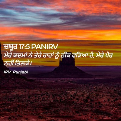 Picture 02 - ਜ਼ਬੂਰ 17:5 PANIRV - ਮੇਰੇ ਕਦਮਾਂ ਨੇ ਤੇਰੇ - Bible Verse Picture