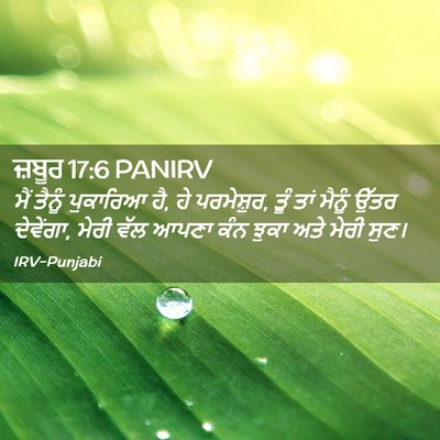 Picture 02 - ਜ਼ਬੂਰ 17:6 PANIRV - ਮੈਂ ਤੈਨੂੰ ਪੁਕਾਰਿਆ - Bible Verse Picture