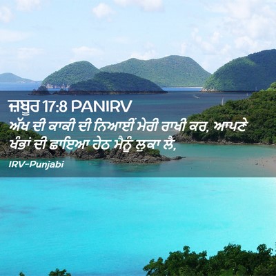 Picture 02 - ਜ਼ਬੂਰ 17:8 PANIRV - ਅੱਖ ਦੀ ਕਾਕੀ ਦੀ - Bible Verse Picture