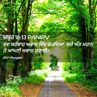 Picture 02 - ਜ਼ਬੂਰ 18:13 PANIRV - ਤਦ ਯਹੋਵਾਹ ਅਕਾਸ਼ - Bible Verse Picture