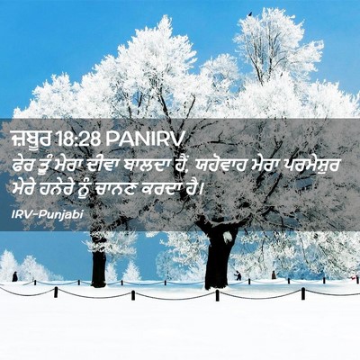 Picture 02 - ਜ਼ਬੂਰ 18:28 PANIRV - ਫੇਰ ਤੂੰ ਮੇਰਾ ਦੀਵਾ - Bible Verse Picture