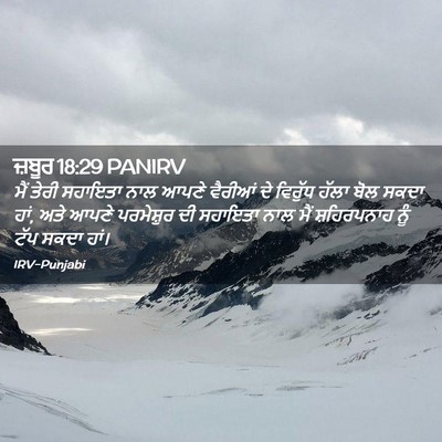 Picture 02 - ਜ਼ਬੂਰ 18:29 PANIRV - ਮੈਂ ਤੇਰੀ ਸਹਾਇਤਾ - Bible Verse Picture