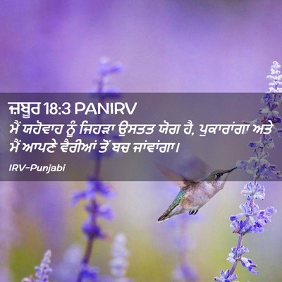 Picture 02 - ਜ਼ਬੂਰ 18:3 PANIRV - ਮੈਂ ਯਹੋਵਾਹ ਨੂੰ - Bible Verse Picture