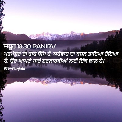 Picture 02 - ਜ਼ਬੂਰ 18:30 PANIRV - ਪਰਮੇਸ਼ੁਰ ਦਾ ਰਾਹ - Bible Verse Picture