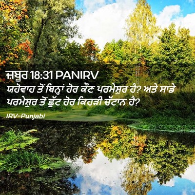 Picture 02 - ਜ਼ਬੂਰ 18:31 PANIRV - ਯਹੋਵਾਹ ਤੋਂ - Bible Verse Picture