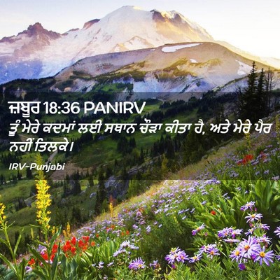 Picture 02 - ਜ਼ਬੂਰ 18:36 PANIRV - ਤੂੰ ਮੇਰੇ ਕਦਮਾਂ ਲਈ - Bible Verse Picture