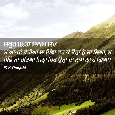 Picture 02 - ਜ਼ਬੂਰ 18:37 PANIRV - ਮੈਂ ਆਪਣੇ ਵੈਰੀਆਂ ਦਾ - Bible Verse Picture