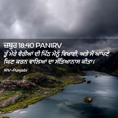 Picture 02 - ਜ਼ਬੂਰ 18:40 PANIRV - ਤੂੰ ਮੇਰੇ ਵੈਰੀਆਂ ਦੀ - Bible Verse Picture