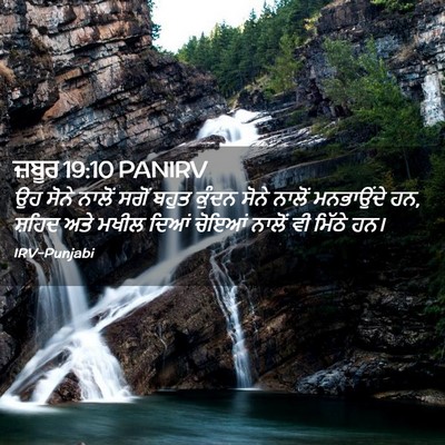 Picture 02 - ਜ਼ਬੂਰ 19:10 PANIRV - ਉਹ ਸੋਨੇ ਨਾਲੋਂ ਸਗੋਂ - Bible Verse Picture
