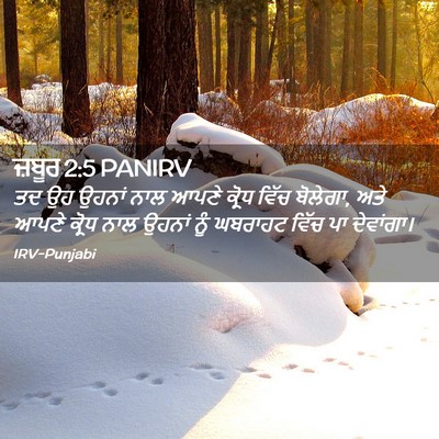 Picture 02 - ਜ਼ਬੂਰ 2:5 PANIRV - ਤਦ ਉਹ ਉਹਨਾਂ ਨਾਲ - Bible Verse Picture