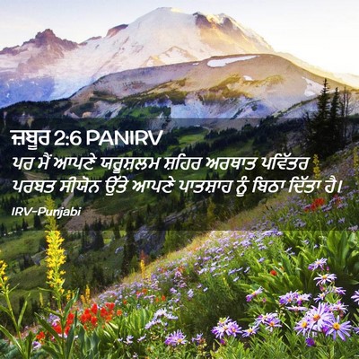 Picture 02 - ਜ਼ਬੂਰ 2:6 PANIRV - ਪਰ ਮੈਂ ਆਪਣੇ - Bible Verse Picture