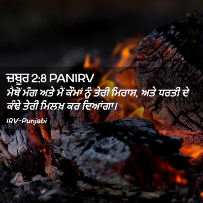Picture 02 - ਜ਼ਬੂਰ 2:8 PANIRV - ਮੈਥੋਂ ਮੰਗ ਅਤੇ ਮੈਂ - Bible Verse Picture