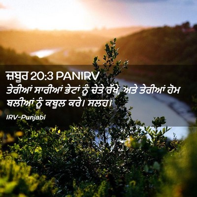 Picture 02 - ਜ਼ਬੂਰ 20:3 PANIRV - ਤੇਰੀਆਂ ਸਾਰੀਆਂ - Bible Verse Picture