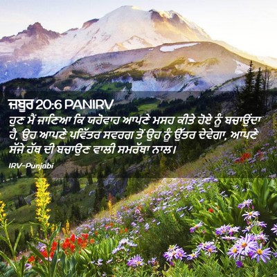 Picture 02 - ਜ਼ਬੂਰ 20:6 PANIRV - ਹੁਣ ਮੈਂ ਜਾਣਿਆ ਕਿ - Bible Verse Picture