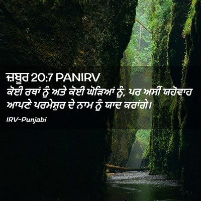 Picture 02 - ਜ਼ਬੂਰ 20:7 PANIRV - ਕੋਈ ਰਥਾਂ ਨੂੰ ਅਤੇ - Bible Verse Picture