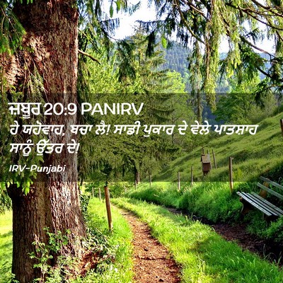 Picture 02 - ਜ਼ਬੂਰ 20:9 PANIRV - ਹੇ ਯਹੋਵਾਹ, ਬਚਾ ਲੈ! - Bible Verse Picture