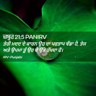 Picture 02 - ਜ਼ਬੂਰ 21:5 PANIRV - ਤੇਰੀ ਮਦਦ ਦੇ ਕਾਰਨ ਉਹ - Bible Verse Picture