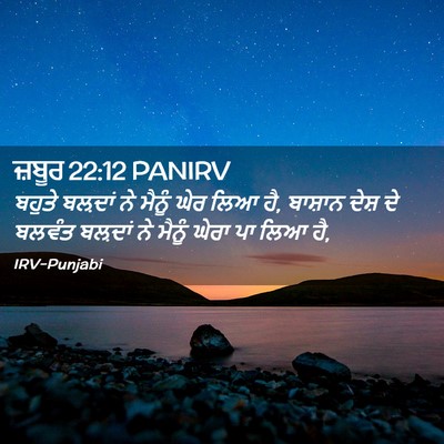 Picture 02 - ਜ਼ਬੂਰ 22:12 PANIRV - ਬਹੁਤੇ ਬਲ਼ਦਾਂ ਨੇ - Bible Verse Picture
