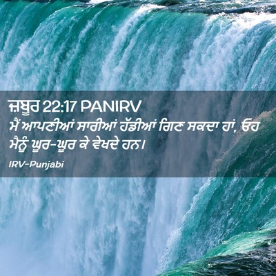 Picture 02 - ਜ਼ਬੂਰ 22:17 PANIRV - ਮੈਂ ਆਪਣੀਆਂ ਸਾਰੀਆਂ - Bible Verse Picture