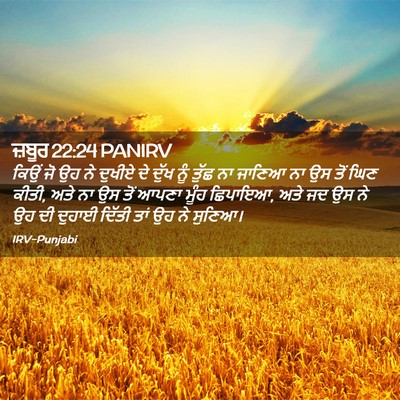 Picture 02 - ਜ਼ਬੂਰ 22:24 PANIRV - ਕਿਉਂ ਜੋ ਉਹ ਨੇ ਦੁਖੀਏ - Bible Verse Picture