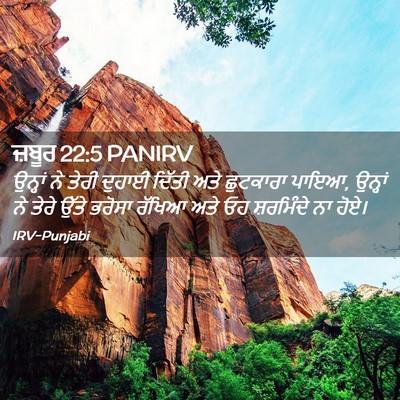 Picture 02 - ਜ਼ਬੂਰ 22:5 PANIRV - ਉਨ੍ਹਾਂ ਨੇ ਤੇਰੀ - Bible Verse Picture