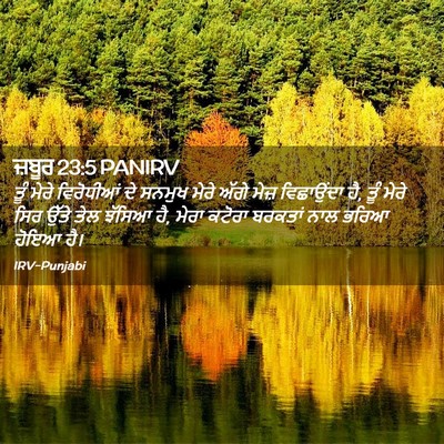 Picture 02 - ਜ਼ਬੂਰ 23:5 PANIRV - ਤੂੰ ਮੇਰੇ ਵਿਰੋਧੀਆਂ - Bible Verse Picture