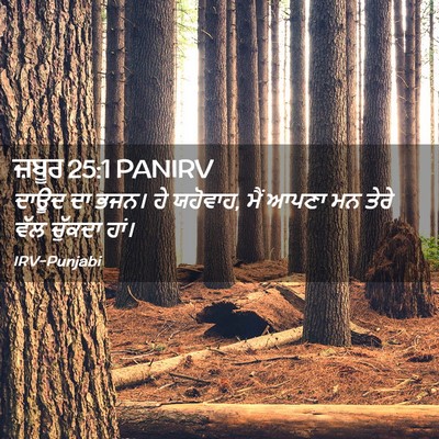 Picture 02 - ਜ਼ਬੂਰ 25:1 PANIRV - ਦਾਊਦ ਦਾ ਭਜਨ। ਹੇ - Bible Verse Picture