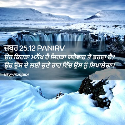 Picture 02 - ਜ਼ਬੂਰ 25:12 PANIRV - ਉਹ ਕਿਹੜਾ ਮਨੁੱਖ ਹੈ - Bible Verse Picture