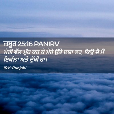 Picture 02 - ਜ਼ਬੂਰ 25:16 PANIRV - ਮੇਰੀ ਵੱਲ ਮੂੰਹ ਕਰ ਕੇ - Bible Verse Picture