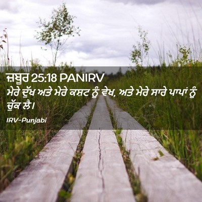 Picture 02 - ਜ਼ਬੂਰ 25:18 PANIRV - ਮੇਰੇ ਦੁੱਖ ਅਤੇ ਮੇਰੇ - Bible Verse Picture