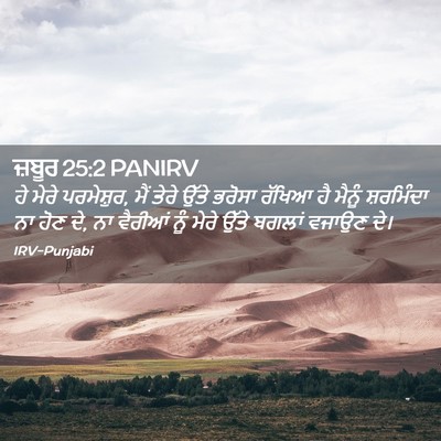 Picture 02 - ਜ਼ਬੂਰ 25:2 PANIRV - ਹੇ ਮੇਰੇ ਪਰਮੇਸ਼ੁਰ, - Bible Verse Picture
