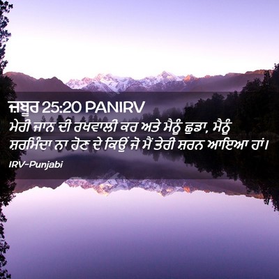 Picture 02 - ਜ਼ਬੂਰ 25:20 PANIRV - ਮੇਰੀ ਜਾਨ ਦੀ ਰਖਵਾਲੀ - Bible Verse Picture