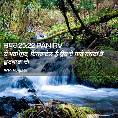 Picture 02 - ਜ਼ਬੂਰ 25:22 PANIRV - ਹੇ ਪਰਮੇਸ਼ੁਰ, - Bible Verse Picture