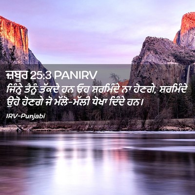 Picture 02 - ਜ਼ਬੂਰ 25:3 PANIRV - ਜਿੰਨ੍ਹੇ ਤੈਨੂੰ - Bible Verse Picture