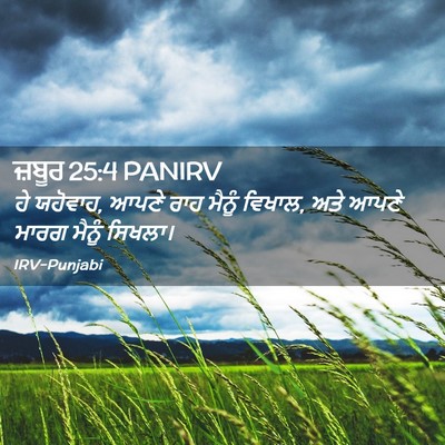 Picture 02 - ਜ਼ਬੂਰ 25:4 PANIRV - ਹੇ ਯਹੋਵਾਹ, ਆਪਣੇ ਰਾਹ - Bible Verse Picture