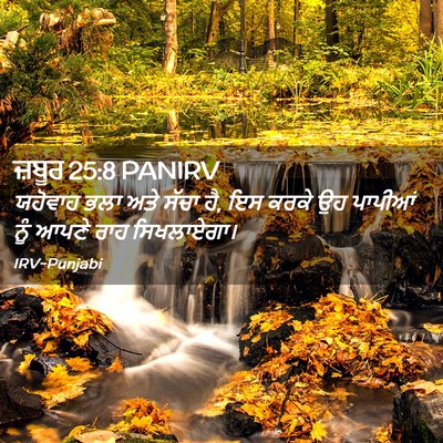 Picture 02 - ਜ਼ਬੂਰ 25:8 PANIRV - ਯਹੋਵਾਹ ਭਲਾ ਅਤੇ - Bible Verse Picture