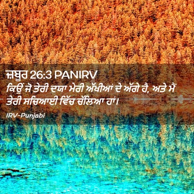 Picture 02 - ਜ਼ਬੂਰ 26:3 PANIRV - ਕਿਉਂ ਜੋ ਤੇਰੀ ਦਯਾ - Bible Verse Picture