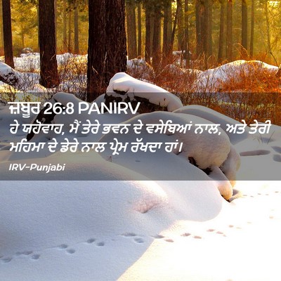 Picture 02 - ਜ਼ਬੂਰ 26:8 PANIRV - ਹੇ ਯਹੋਵਾਹ, ਮੈਂ ਤੇਰੇ - Bible Verse Picture
