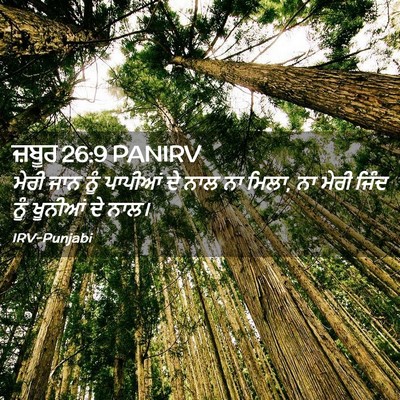 Picture 02 - ਜ਼ਬੂਰ 26:9 PANIRV - ਮੇਰੀ ਜਾਨ ਨੂੰ - Bible Verse Picture