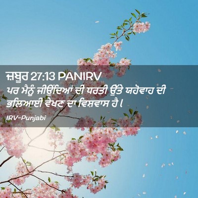 Picture 02 - ਜ਼ਬੂਰ 27:13 PANIRV - ਪਰ ਮੈਨੂੰ ਜੀਉਂਦਿਆਂ - Bible Verse Picture
