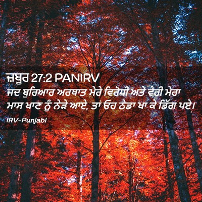 Picture 02 - ਜ਼ਬੂਰ 27:2 PANIRV - ਜਦ ਬੁਰਿਆਰ ਅਰਥਾਤ - Bible Verse Picture
