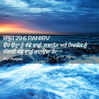 Picture 02 - ਜ਼ਬੂਰ 29:6 PANIRV - ਉਹ ਉਨ੍ਹਾਂ ਨੂੰ ਵੱਛੇ - Bible Verse Picture
