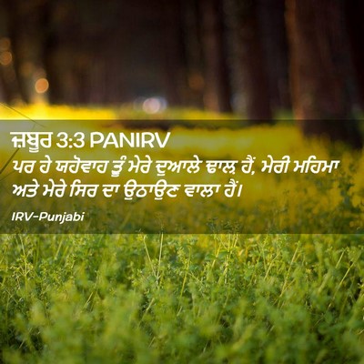 Picture 02 - ਜ਼ਬੂਰ 3:3 PANIRV - ਪਰ ਹੇ ਯਹੋਵਾਹ ਤੂੰ - Bible Verse Picture
